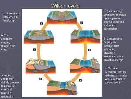 Figure 1. Le schéma du cycle de Wilson. Cliquez pour agrandir. Crédit : <em>Florida State University</em>