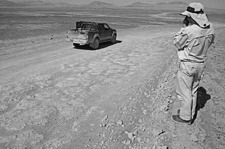 Des polygones de dessiciation dans un sol riche en sulfates dans le désert de l'Atacama au Chili. © Ronald Amundson, <em>UC Berkeley</em>