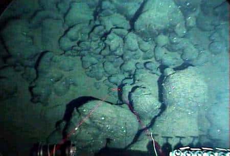 Blocs de basalte reposant sur le fond de l'océan. Cette roche vitrifiée provient de la solidifiation de magma. L'image a été prise à 2.200 mètres de profondeur, le 2 septembre 2004, par le sous-Marin Alvin (<a href="http://4dgeo.whoi.edu/alvin" title="Missions Alvin" target="_blank">mission AT 11-16</a>). © <em>The Alvin Frame-Grabber System</em>