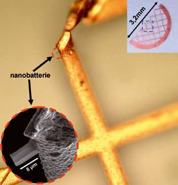 En haut à droite, la grille de cuivre (classiquement utilisée en microscopie électronique à transmission), coupée en deux. La zone entourée de bleu, où a été déposée la coupe, est agrandie (au microscope optique) sur l'image principale. En bas à gauche, une vue au microscope électronique à balayage de la tranche de nanobatterie maintenue sur la grille. © L. Dupont/UPJV et UMR CNRS 6007