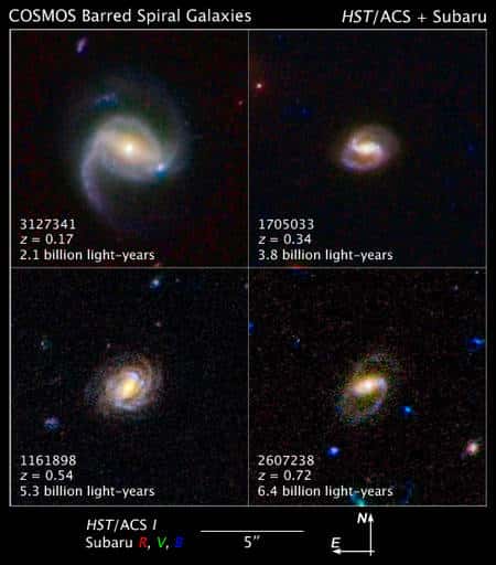 Quelques exemples de galaxies découvertes par Cosmos et dont le décalage spectral z (donc la distance), a été déterminé grâce aux télescopes Hubble et Subaru, sur le Mauna Kea, à Hawaï. Crédit : Nasa, Esa et Z. Levay (STScI)