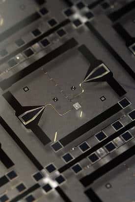 Le circuit supraconducteur utilisé par les chercheurs. Cliquez pour agrandir. Crédit : Erik Lucero UC Santa Barbara