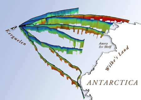 Entre février et mars 2004, huit individus ont enregistré des profils de températures et de salinités sur une vaste zone entre les îles Kerguelen et le continent antarctique. © Mamvis SMRU