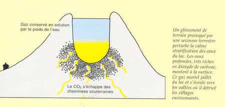 Figure 2 (cliquez sur l'image pour l'agrandir). Hypothèse de l'accumulation de gaz carbonique (CO<sub>2</sub>, en jaune), sous le lac Nyos. © ereiter.free.fr