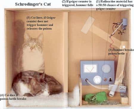 L'expérience du chat de Schrödinger. Crédit : <em>universe-review</em>