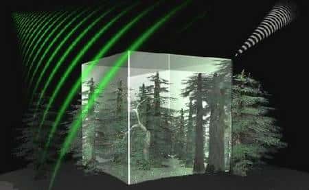 Biomass : un radar à synthèse d'ouverture (SAR) va analyser depuis l'orbite terrestre l'épaisseur de la végétation arborée des hautes latitudes. Crédit Cesbio