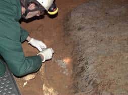 La délicate opération d'extraction d'un ossement à l'intérieur de la grotte Chauvet-Pontd'Arc. ©M.-A. Garcia