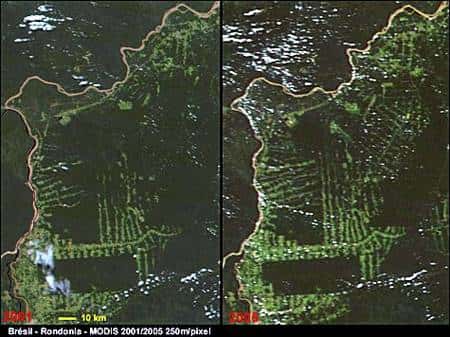 Progression de la déforestation au Brésil, vue par la caméra Modis à bord du satellite Aqua de la Nasa, entre 2002 et 2008. Crédit Nasa