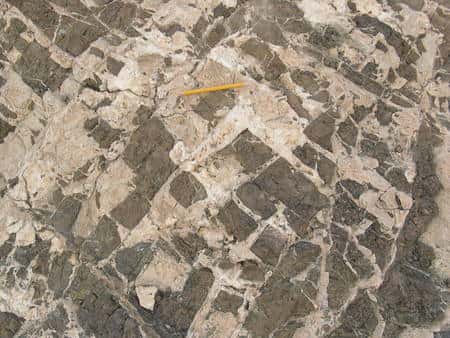 Cliquez pour agrandir. En surface certaines des veines de roches carbonatées (blanche) sont bien visibles. Crédit : <em>The Trustees of Columbia University in the City of New York, Lamont -Doherty Earth Observatory</em>