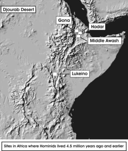 La région de l'Afar et les sites où l'on a trouvé des hominidés vieux de plusieurs millions d'années. Crédit : <em>Stone Age Institute</em>