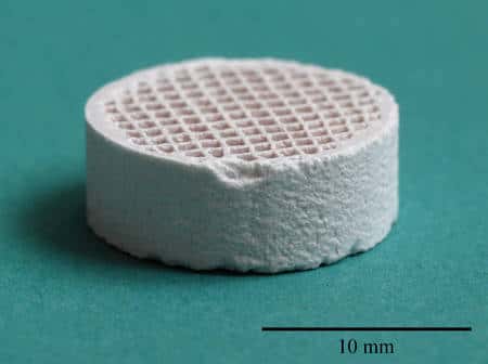 Un implant en céramique créé par les chercheurs. Crédit : <em>University of Warwick</em>