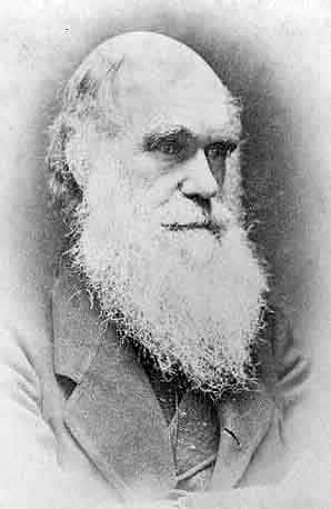 Photographie de Darwin (non datée – auteur inconnu). © <em>Library of Congress</em>