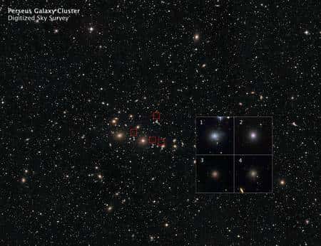 Cliquer pour agrandir. Un premier zoom sur l'amas de Persée permet d'identifier des galaxies elliptiques naines quasie sphériques. Crédit : Nasa, Esa, D. De Martin (ESA/Hubble), C. Conselice (université de Nottingham)