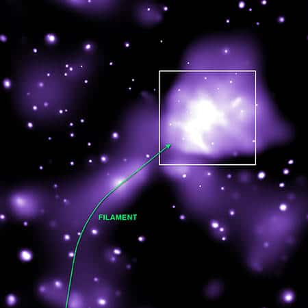 Une image de MACSJ0717.5+3745 en rayons X. Un filament de gaz chaud est bien visible et il aboutit à la collision des 4 amas. Le rectangle blanc délimite la zone où les observations de Hubble et du télescope Keck ont été combinées pour donner la photo en bas de l'article. Crédit : Nasa/CXC/IfA/C. Ma <em>et al.</em>