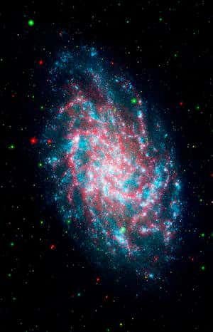 La galaxie du Triangle (alias M33), à 2,9 millions d'années-lumière (autant dire une voisine), observée par Spitzer en avril 2009. (Cliquer sur l'image pour en obtenir une version à haute résolution.) © Nasa
