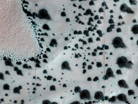 Aspect &quot;dalmatien&quot; du sol de Mars. Crédit Nasa/JPL