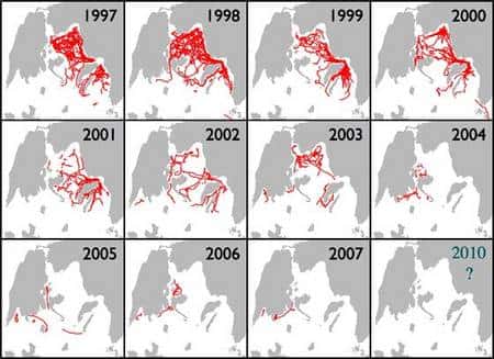 Populations de dauphins communs dans la région des îles Kalamos (mer ionienne) entre 1997 et 2007. Source : <a href="http://www.cetaceanalliance.org/" target="_blank">Cétacé Alliance</a>