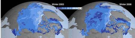 Comparaison des épaisseurs de la banquise en hiver, en 2003 et en 2008 (cliquer pour agrandir). La couleur indique l'épaisseur, de bleu foncé pour 0 à 1 mètre jusqu'à blanc, pour plus de 4 mètres. On voit clairement apparaître en 2008 des zones de moins d'un mètre au centre de la banquise arctique.<br>© Nasa/JPL (montage Futura-Sciences)