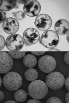 Les capsules, que l'on distingue bien sur l'image du bas, prise avec un microscope électronique à balayage, sont en polymère. L'image du haut en montre l'intérieur, et leur contenu de nanotubes de carbone, grâce à la lumière d'un microscope optique classique. © <em>J. Mat. Chem./RSC Publishing</em>
