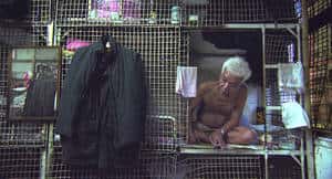 En Chine, des personnes âgées trouvent refuge dans des cages, à deux cents mètres d'un hôtel de luxe. (Photographie extraite du dossier de presse.) © Mars Distribution