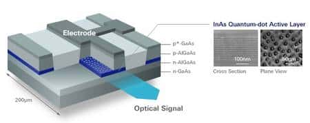 Au sein d'un sandwich de semi-conducteurs (arséniure de gallium et d'aluminium), les nanocristaux, semi-conducteurs eux aussi (InAs, arséniure d'indium), forment une couche de boîtes quantiques (<em>Quantum-dot Active Layer</em>) qui émet une lumière laser (<em>Optical Signal</em>). A droite, deux images des nanocristaux en microscopie électronique, en coupe (<em>Cross Section</em>) et vus de dessus (<em>Plane View</em>). (Cliquer sur l'image pour l'agrandir.) © Quantum Dot Inc.