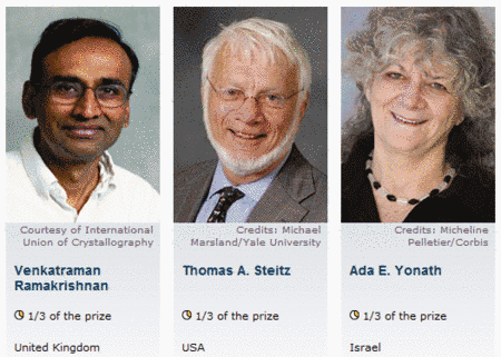 Cliquer sur l'image pour l'agrandir. Les trois lauréats du prix Nobel de chimie 2009 © Capture d'écran du site nobelprize.org