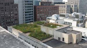 Cliquer sur l'image pour l'agrandir. Des toitures végétalisées pour rafraîchir les villes ? © <em>Centre For Neighborhood Technology CC by-sa</em> 