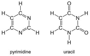 Une comparaison entre les molécules de pyrimidine et d'uracile. © Nasa