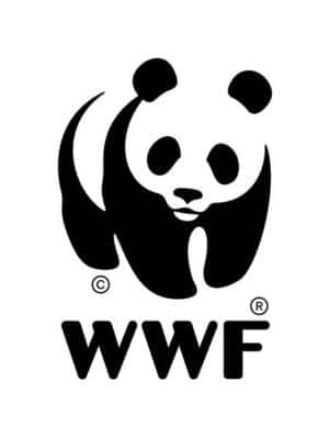 Le panda du WWF a élu Isabelle Autissier. © WWF