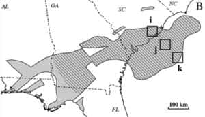 La formation basaltique la plus importante connue sur la côte Est des Etats-Unis s’étend depuis le large de la Caroline du Sud (SC) jusqu’à l’Alabama (AL) et la Floride (FL). © David Goldberg /<em> Lamont-Doherty Earth Observatory</em>
