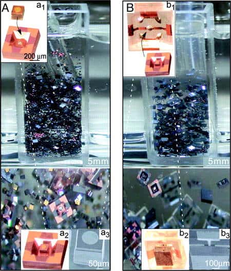 La première étape d'auto-assemblage durant la réalisation de diodes électroluminescentes (Led), photographiée à deux moments différents (images A et B), de loin (en haut) et de près (en bas). Les éléments baignent dans de l'éthylène-glycol à 100°C. Les petites images insérées montrent les éléments (l'un de silicium, de forme creuse, et l'autre en or, proche d'un cube) avant leur auto-assemblage (a1 et b1) et après (a2 et b2). Prises au microscope électronique, les photographies a3 et b3 montrent les éléments et leur alignement. © Heiko O. Jacobs <em>et al.</em>