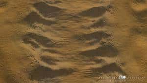 <em>Valles Marineris</em>, le plus grand canyon du Système solaire comme si vous y étiez. Crédit pixmodels.com 