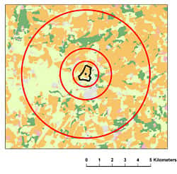 Voici une carte d’occupation des sols issue de <em>Land Cover Map 2000</em>. A chaque parcelle de couleur peuvent être associés un type de couvert végétal, un paysage et une activité agricole. La zone d’inventaire des papillons est en noire. Les cercles rouges montrent les échelles d’analyse du paysage dans un rayon de 5 kilomètres. © <em>Centre for Ecology &amp; Hydrology</em>