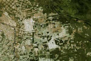 En Bolivie, la forêt tropicale est grignotée par l’extension continue des cultures. Ces champs ne sont plus à destination des marchés locaux mais destinés aux exportations. © Nasa / <em>Goddard Space Flight Center Scientific Visualization Studio</em>