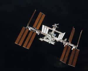 Pour la première fois, les astronautes pourront suivre <em>de visu</em> les opérations réalisées à extérieure de la Station, notamment l’arrimage de <em>Leonardo</em>, à travers la <a href="//www.futura-sciences.com/fr/news/t/astronautique/d/tranquility-et-la-coupole-installes-la-navette-redescend-sur-terre_22709/" target="_blank">Coupole</a>, installée sur l’ISS en février. © Nasa