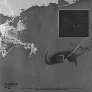 Une image réalisée le 28 avril par le satellite RadarSat, à 11 h 51 TU (deux heures de plus en heure française). La nappe de pétrole s'échappant du forage de l'ex-plate-forme Deepwater Horizon est bien visible. L'agrandissement montre les navires présents sur zone et tentant de réduire la marée noire. En B, le delta du Mississpi. En A, La Nouvelle-Orléans. (Cliquer sur l'image pour l'agrandir.) © <em><a href="http://www.asc-csa.gc.ca/eng/satellites/radarsat2/mississipi_oil.asp" title="An oil platform spilling oil in the Gulf of Mexico" target="_blank">Canadian Space Agency</a></em>