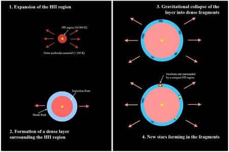 Cliquer pour agrandir. Une vue schématique du modèle expliquant la formation d'étoiles massives dans certaines nébuleuse. Dans ce scénario, la formation d'une nouvelle génération d'étoiles est déclenchée par l'expansion d'une région HII qui est ionisé et soufflée par une étoile massive de la génération précédente. Ce modèle a d'abord été proposé par Elmegreen et Lada en 1977. Crédit : Deharveng, Zavagno, LAM, France