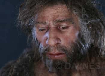  <br />Néanderthal a vécu durant 300.000 ans. Ici, un Néanderthalien du Proche-Orient (Shanidar, Iraq). © Atelier E. Daynes