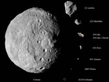 Un florilège d’astéroïdes. Les différents corps célestes sont ici à l’échelle avec un diamètre de 525 km pour Vesta. © Nasa