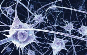 Vue de neurones. © Benedict Campbell Wellcome, Flickr, cc by nc nd 2.0