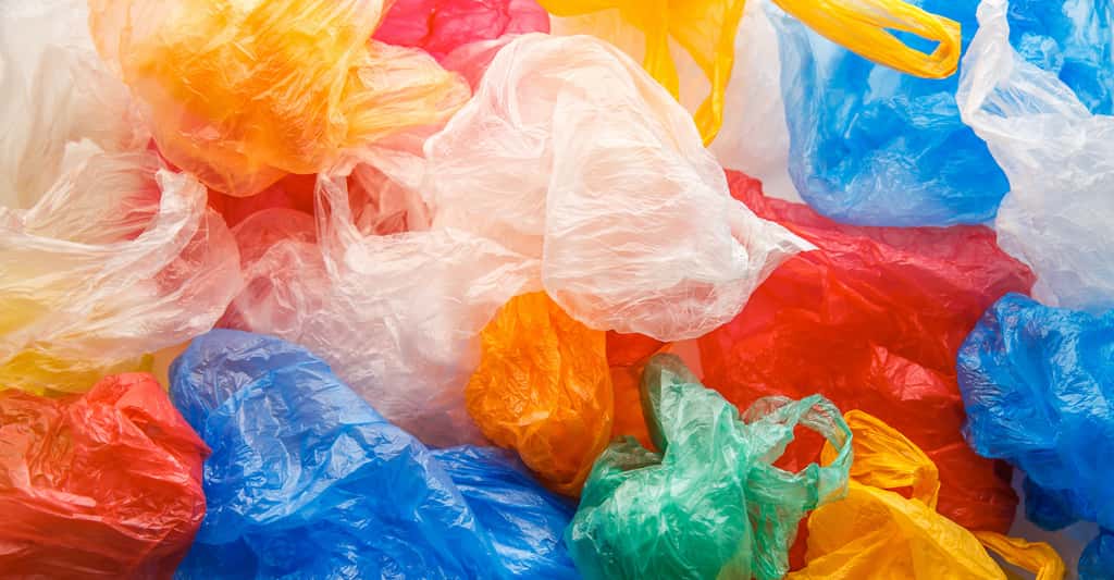Avant leur interdiction, il se distribuait chaque année des milliards de sacs plastiques à usage unique dans notre pays. Début 2010, il se consommait encore un million de sacs plastiques à usage unique dans le monde… à chaque minute ! © mykolastock, Adobe Stock
