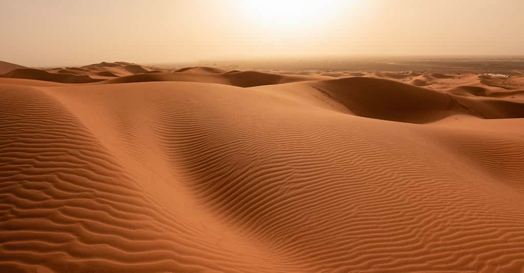 Il est aujourd’hui désertique, mais il y a 6.000 ans, alors que la Terre connaissait un réchauffement climatique naturel, le Sahara a été, pour un temps, couvert de prairies verdoyantes. Avec des conséquences sur le climat de la planète entière. © shirophoto, Adobe Stock