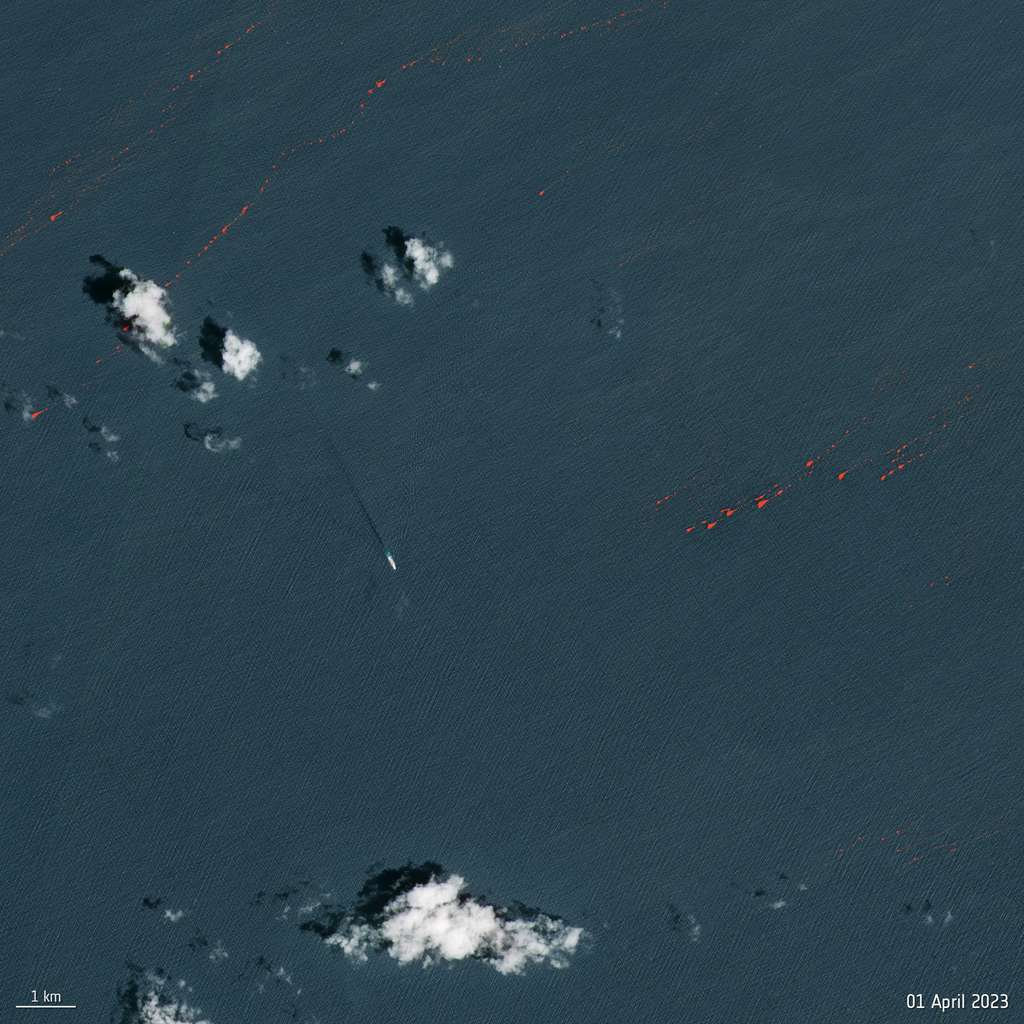 Ces images Copernicus Sentinel-2 montrent les sargasses à environ 45 km au large de la côte ouest de la Guadeloupe. Une image dans le proche infrarouge pour mettre en évidence les sargasses en rouge vif. © ESA
