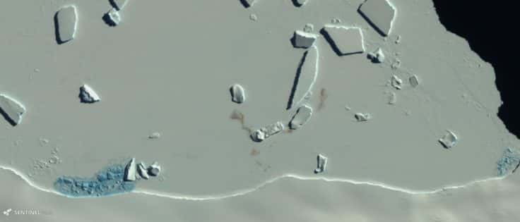 Sur cette image de la mission Copernicus Sentinel-2, les taches de guano sur la glace trahissent la présence d’une colonie de manchots empereurs. © <em>British Antartic Survey</em>, Copernicus Sentinel-2