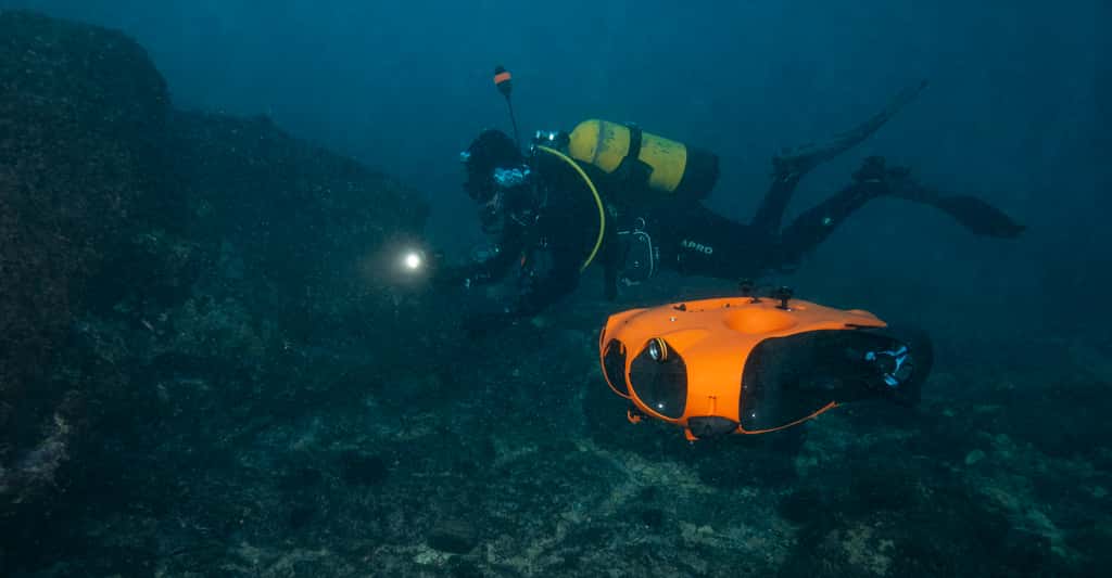 Le drone Seasam en compagnie d’un plongeur. © Notilo Plus