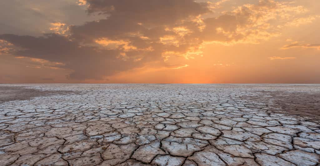 La chaleur de l'océan Pacifique aggrave la sécheresse des terres situées à proximité, l'ouest du continent américain. © yotrakbutda, Adobe Stock