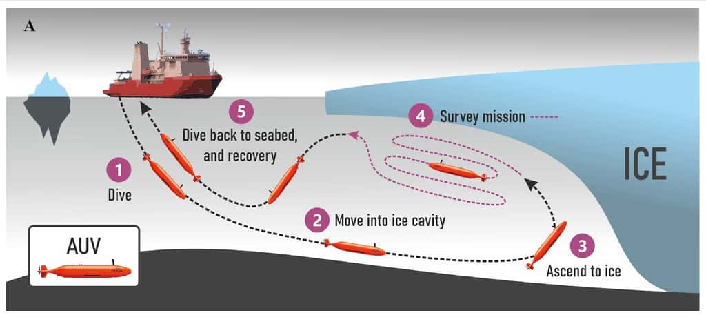 Le véhicule sous-marin autonome <em>Ran</em> a été programmé pour effectuer des missions sous la banquise. Un système de sonar multifaisceaux avancé permet de cartographier le dessous de la glace à une distance d’environ 50 mètres. © Anna Wåhlin, <em>Science Advances</em>