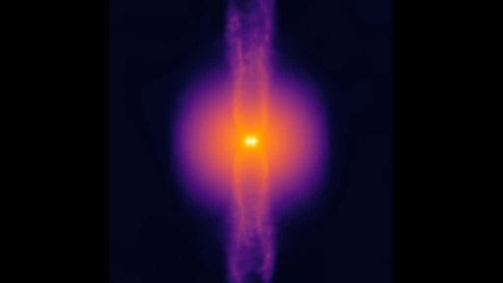 Sur ce zoom d’une simulation Starforge, un noyau de gaz en rotation s’effondre pour former en son centre, une étoile qui lance, depuis ses pôles, des jets dits protostellaires alors qu’elle se nourrit des gaz provenant du disque environnant. Les astronomes ont observé que ces jets entraînent les gaz au loin, limitant la quantité de matière que l’étoile peut accumuler. © Starforge, Université Northwestern