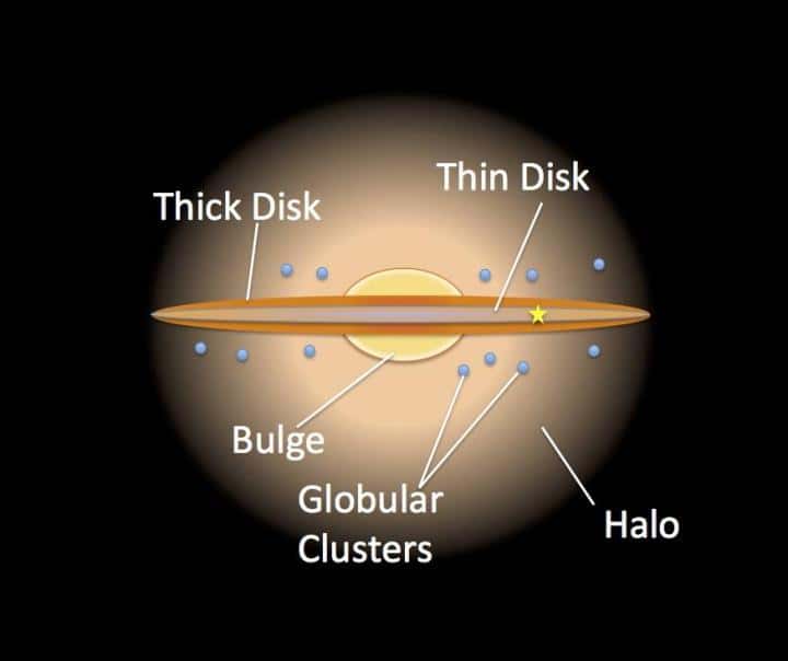 Une vue d’artiste de notre Voie lactée représentant notamment le disque épais – <em>thick disk</em> – et le disque mince – <em>thin disk</em>. © Nasa, JPL Caltech, R.Hurt, SSC