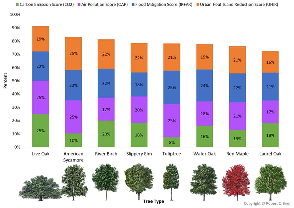 Sur ce graphique, les meilleurs super-arbres identifiés par les chercheurs de l’université Rice. Ils sont capables d’aider à lutter contre le changement climatique dans le Grand Houston. © Hopkins, L.P., January-Bevers, D.J., Caton, E.K. et Campos, L.A. (2021), Université Rice